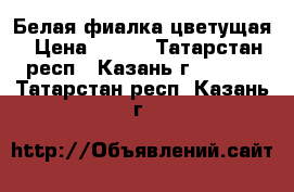 Белая фиалка цветущая › Цена ­ 100 - Татарстан респ., Казань г.  »    . Татарстан респ.,Казань г.